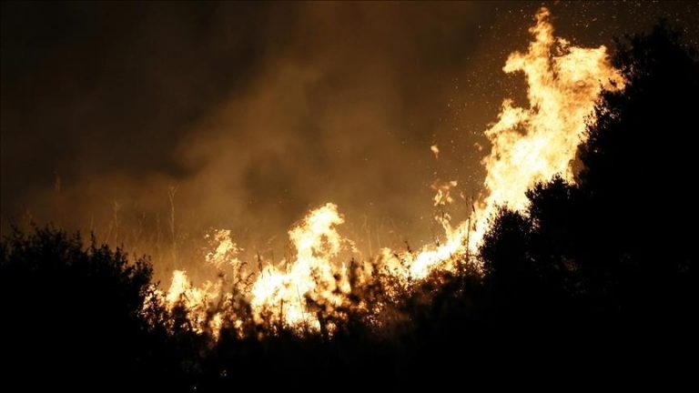 Η Κύπρος στις στάχτες: Στεκόμαστε δίπλα σας