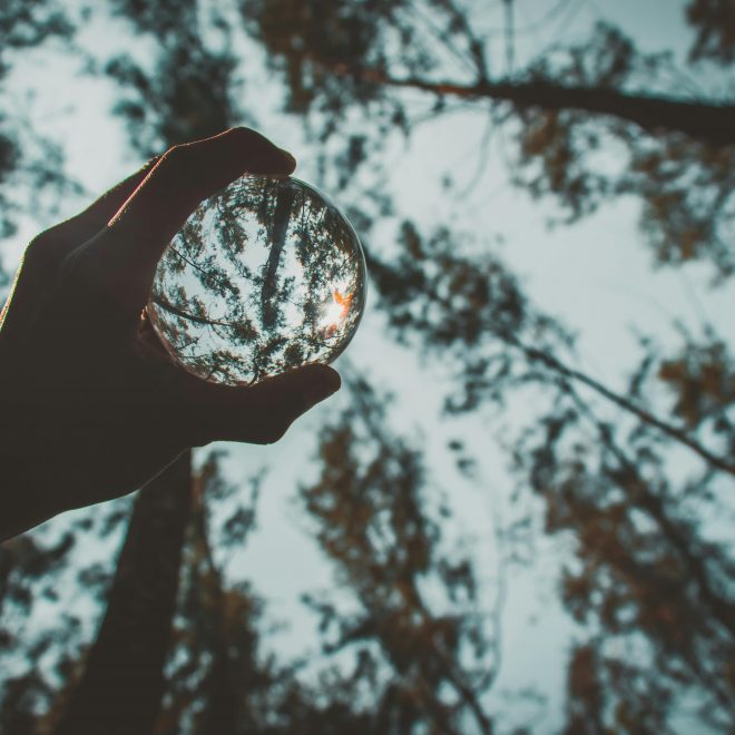 Η Πραγματικότητα ως Ελεγχόμενη Ψευδαίσθηση